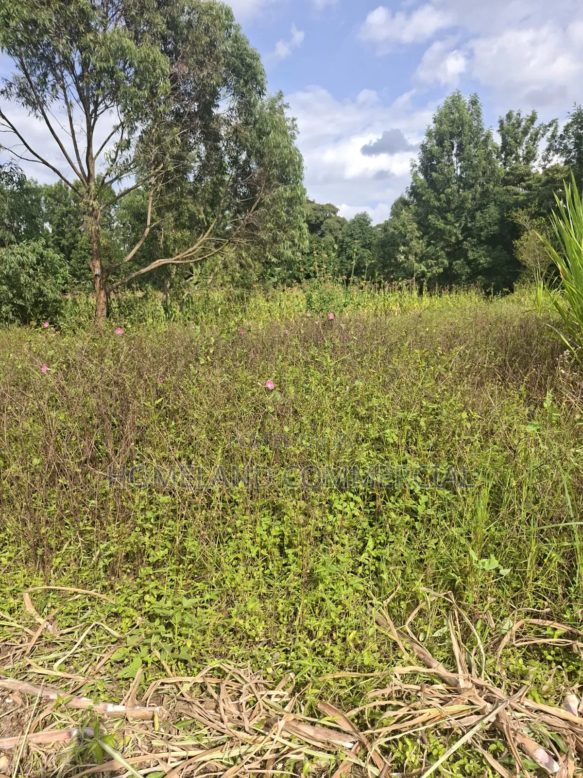 1/4 Land for Sale in Kabiria Mutweini Area