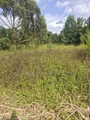 1/4 Land for Sale in Kabiria Mutweini Area