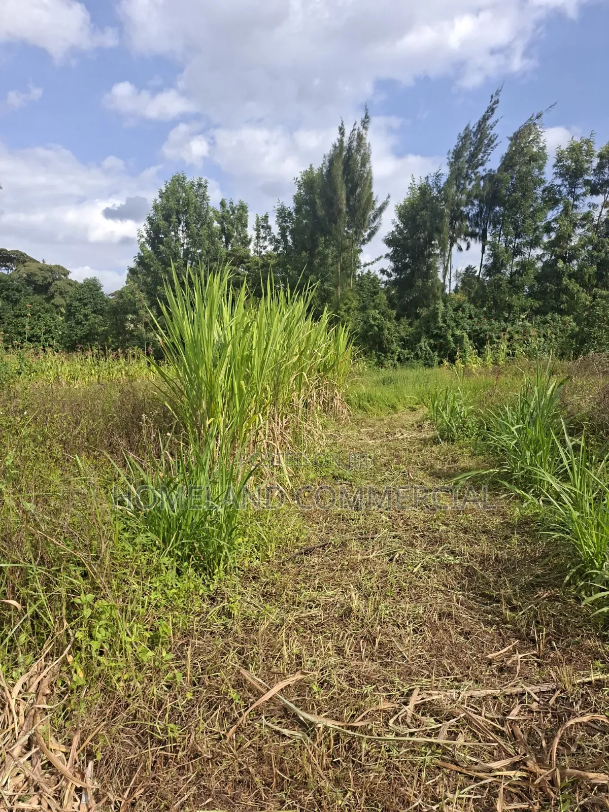 1/4 Land for Sale in Kabiria Mutweini Area