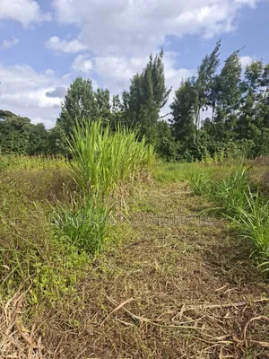 1/4 Land for Sale in Kabiria Mutweini Area