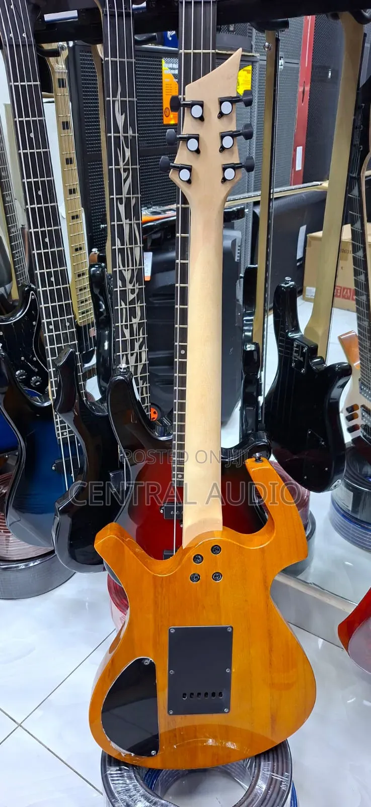 Professional Ibanez Electric Guitar