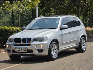BMW X5 2010 Silver