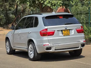 BMW X5 2010 Silver