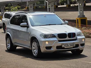 BMW X5 2010 Silver
