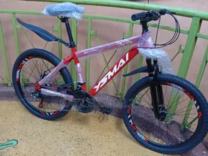 Quality Affordable Bike Size 24