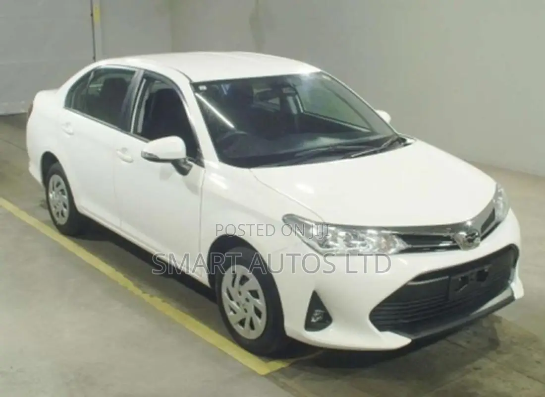 Toyota Axio 2019 Pearl