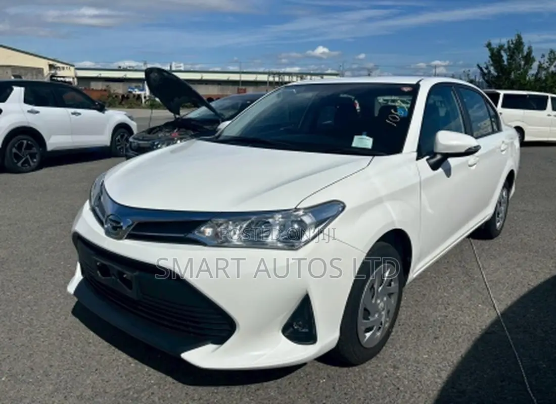 Toyota Axio 2019 Pearl