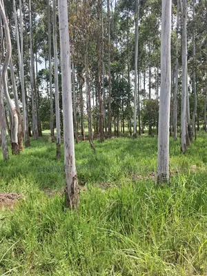 Land for Sale in Karen