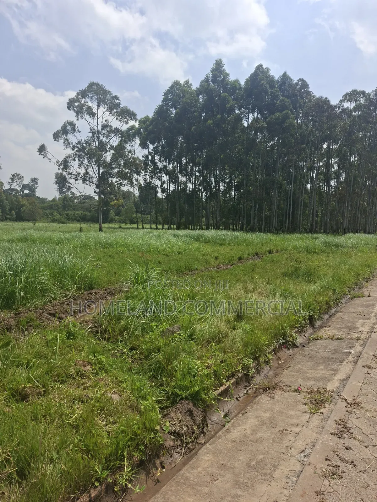 Land for Sale in Karen