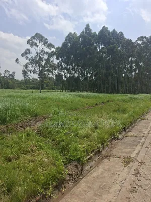 Land for Sale in Karen