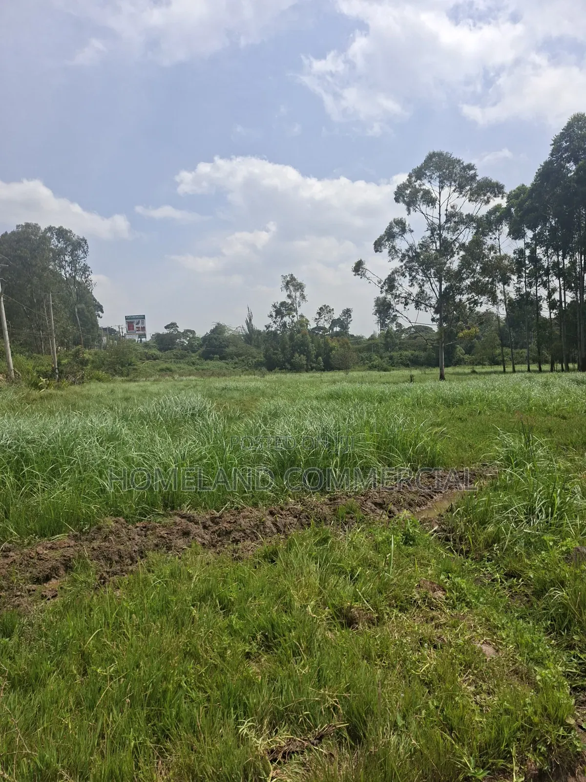 Land for Sale in Karen