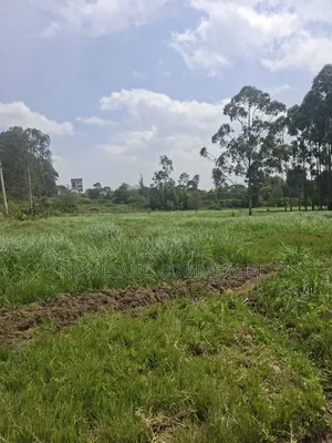 Land for Sale in Karen