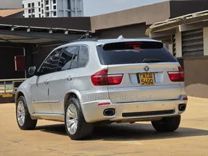 BMW X5 2010 Silver