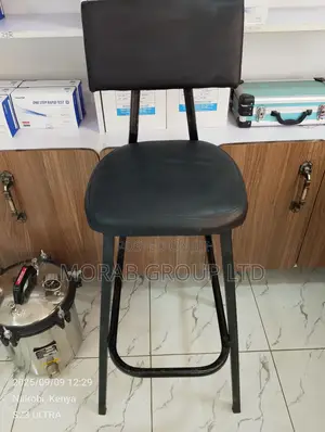 Lab Stool Large Size