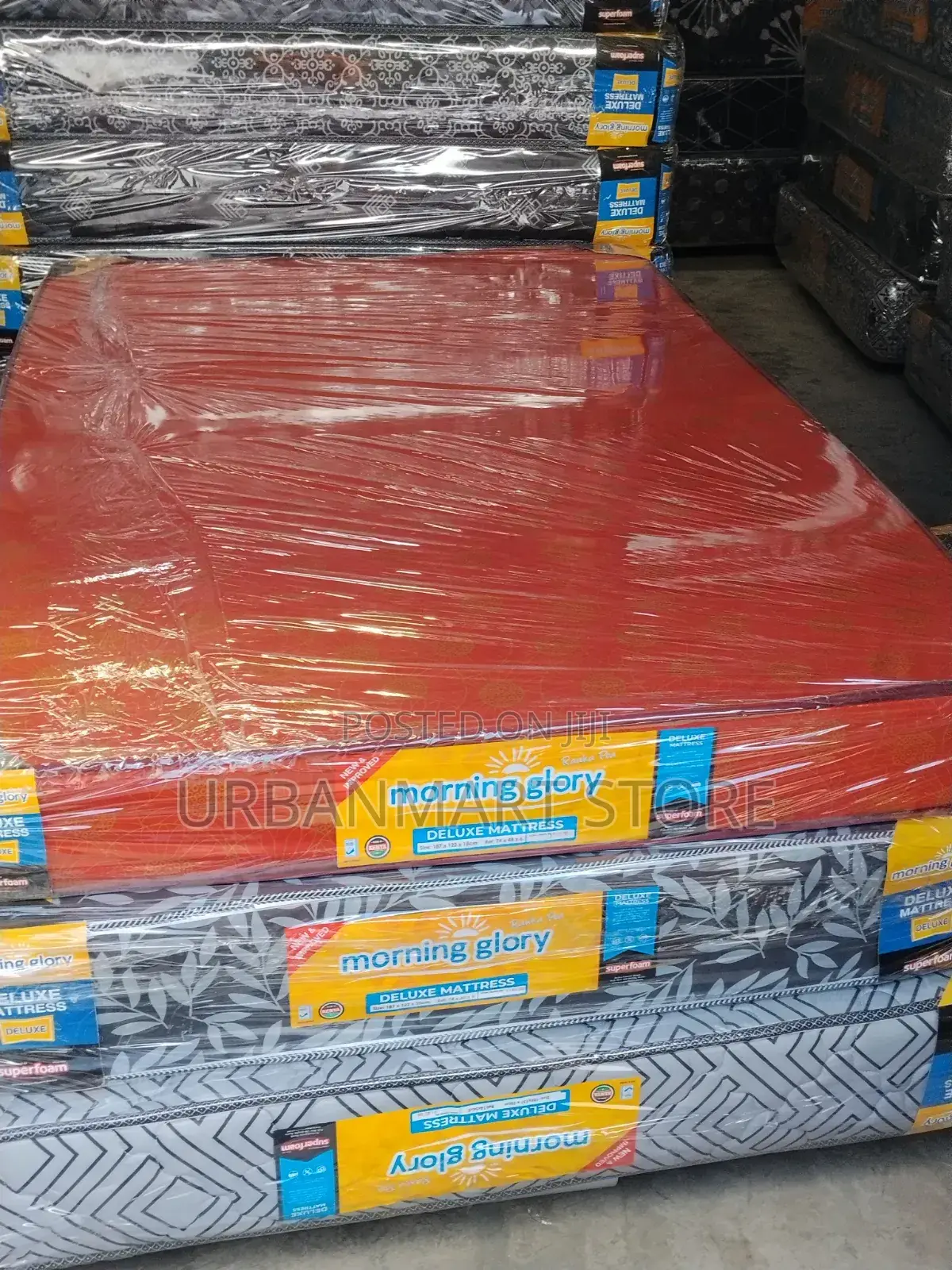 Comfortable Sleep 4x6 Foam Mattress, 6 Inches Morning Glory