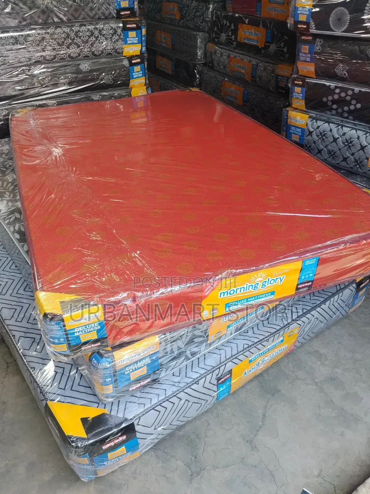 Comfortable Sleep 4x6 Foam Mattress, 6 Inches Morning Glory
