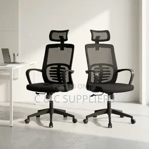 Ergonomic Swivel Lumber Support Chair