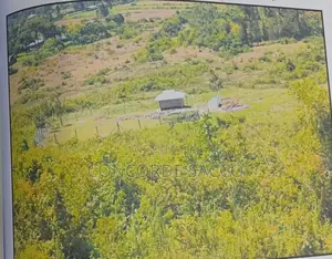 Kisumu/Kadongo/5333