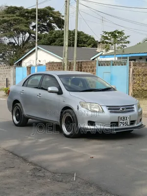 Toyota Axio 2007 Silver