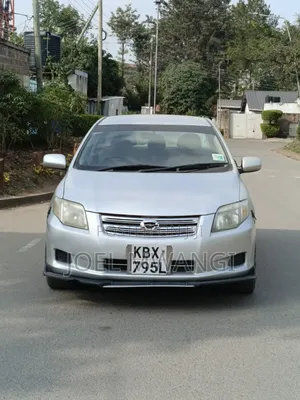 Toyota Axio 2007 Silver
