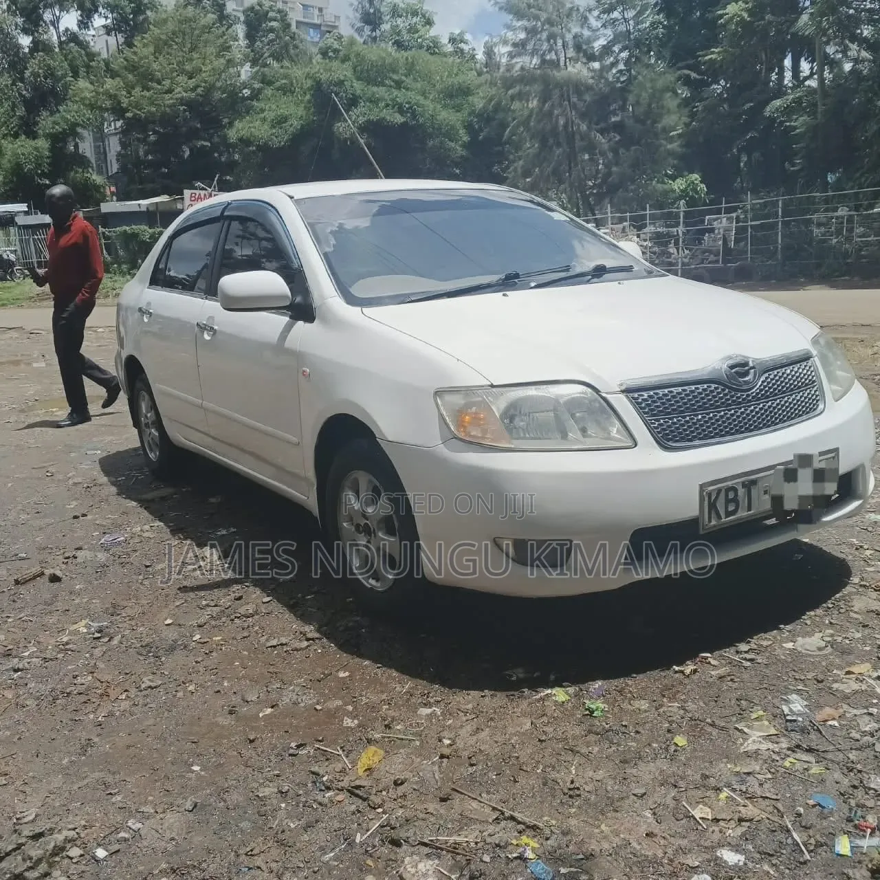 Toyota Corolla 2006 White