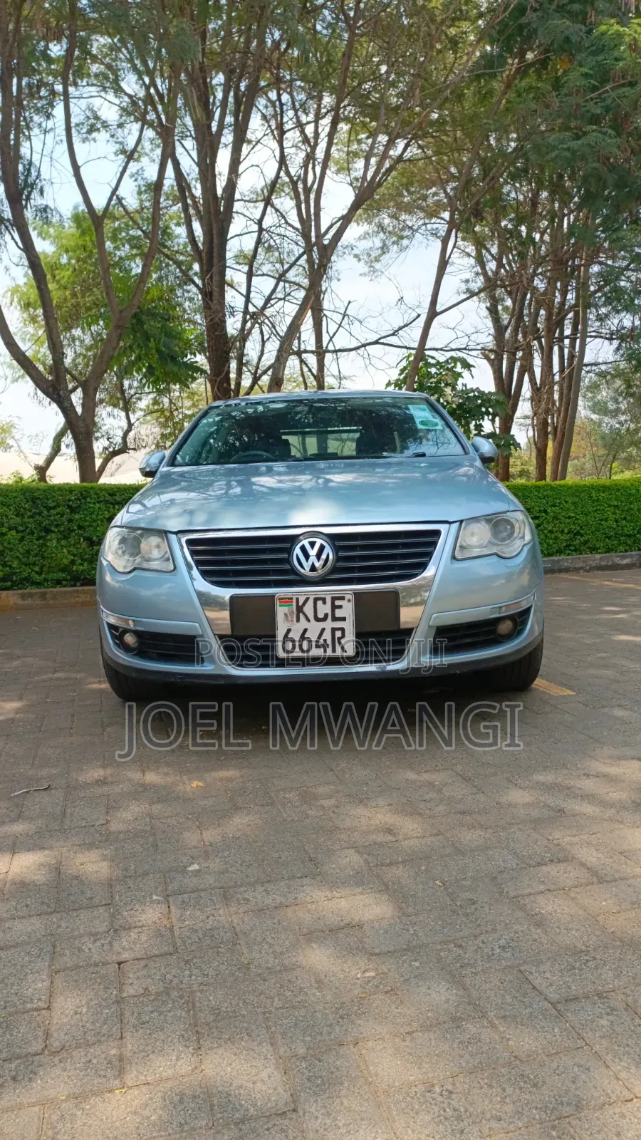 Volkswagen Passat 2008 Blue