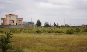 Prime Plots Selling Fast in Ruiru Kamakis