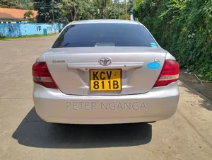 Toyota Axio 2012 Gray