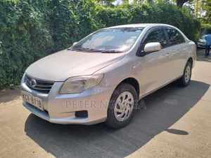 Toyota Axio 2012 Gray
