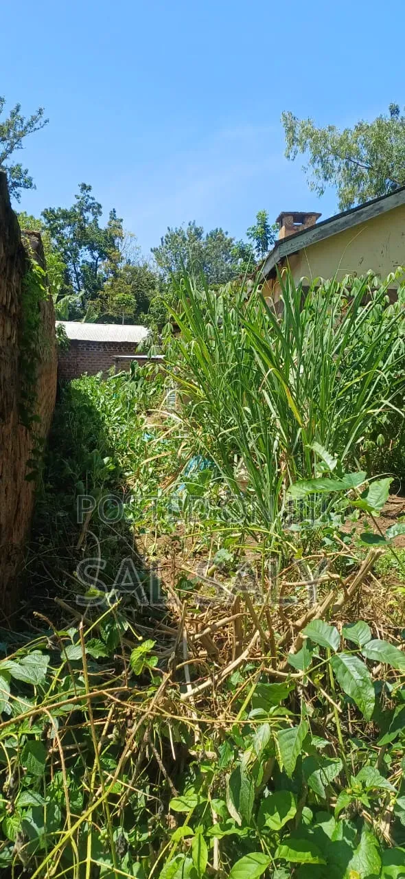 2bdrm Farm House in Manyatta, Mumias Central for sale