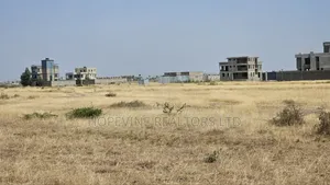 Affordable Plots for Sale in Juja