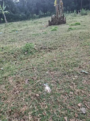 4 Acres Land For Lease In Karen Langata Southern Road.
