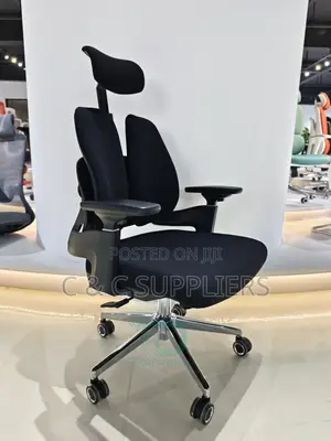 Dual Back Orthopedic Chair With Lumber Support