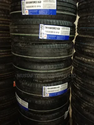Goodard 195/65r15