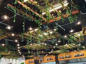 Ceiling Hanging Vines