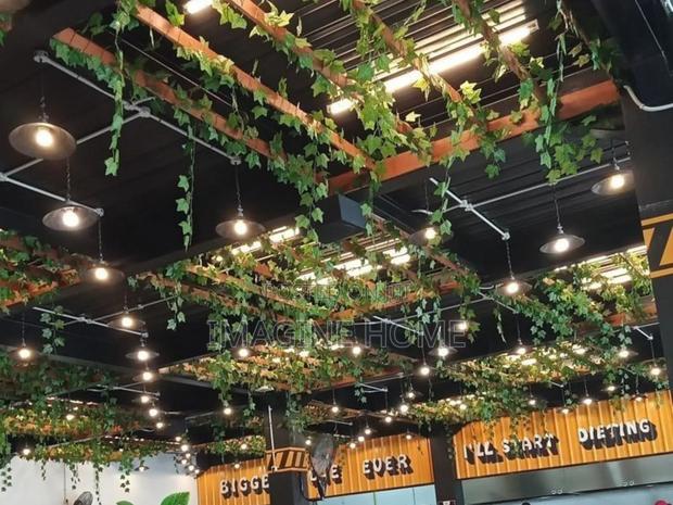 Ceiling Hanging Vines