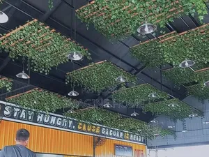 Ceiling Hanging Vines