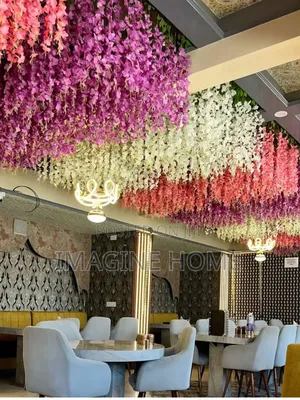 Mixed Color Wisteria