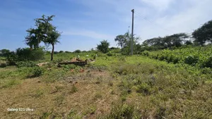Affordable Plots for Sale in Matuu