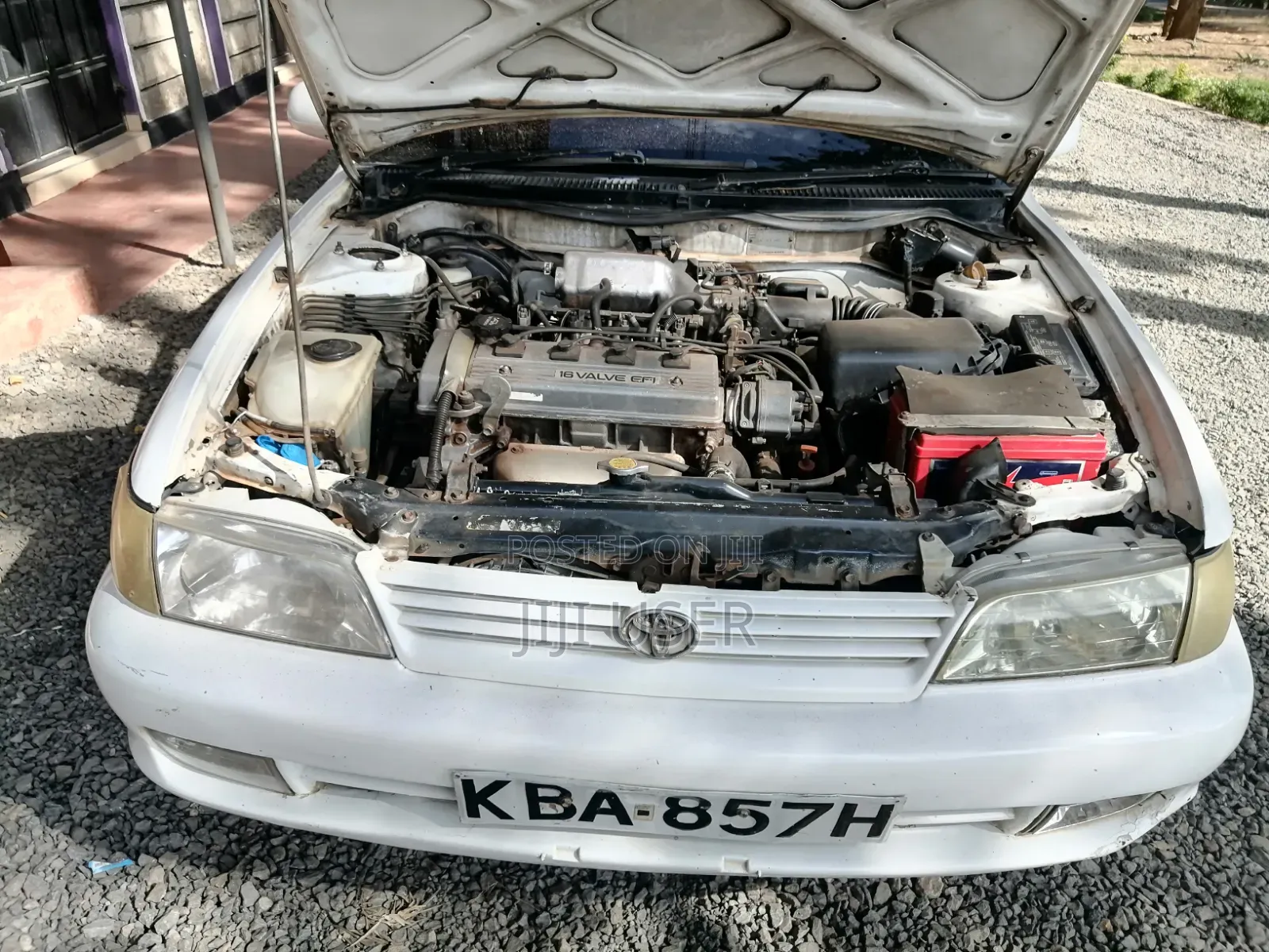 Toyota Corolla 2000 White