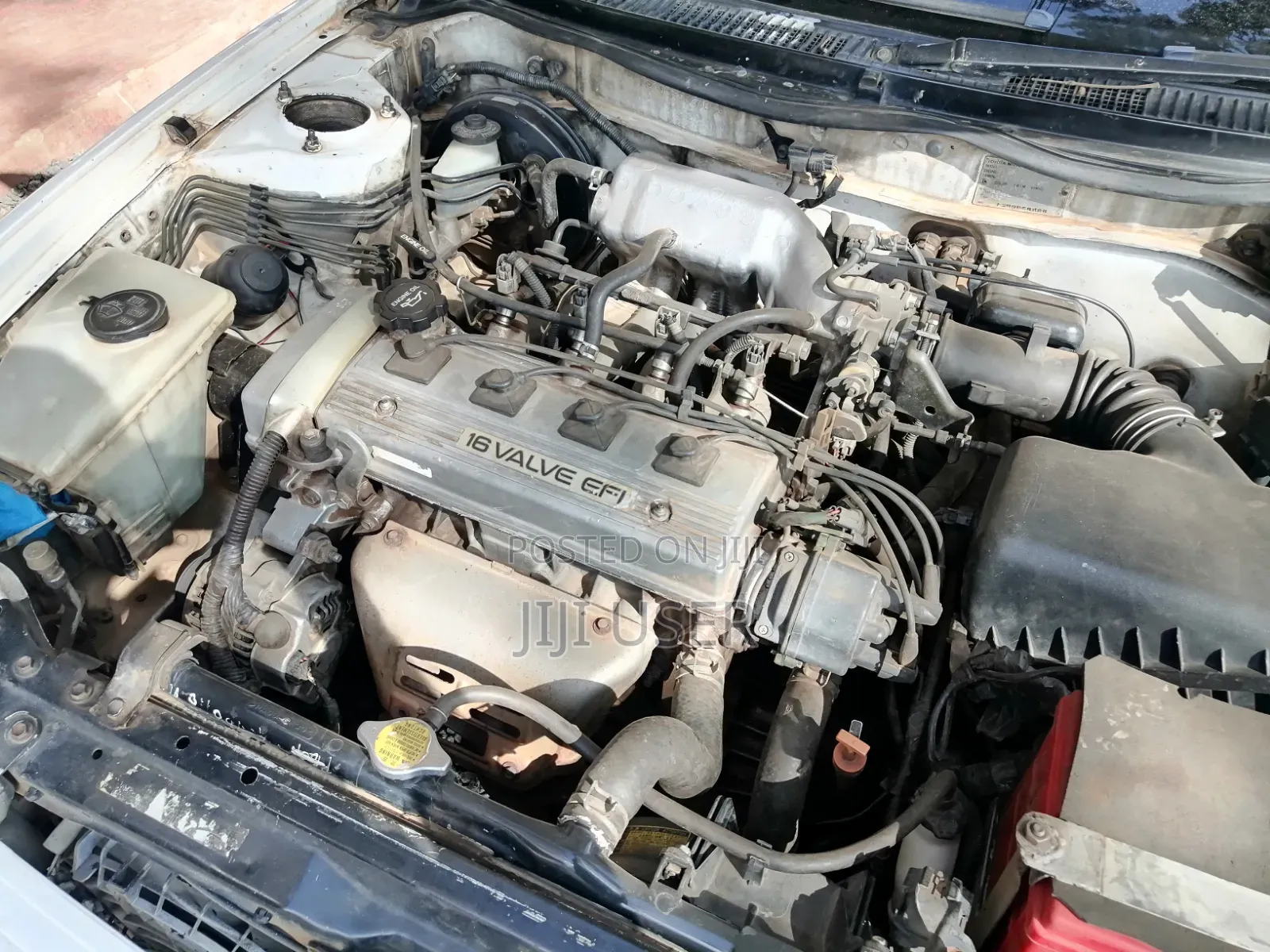 Toyota Corolla 2000 White