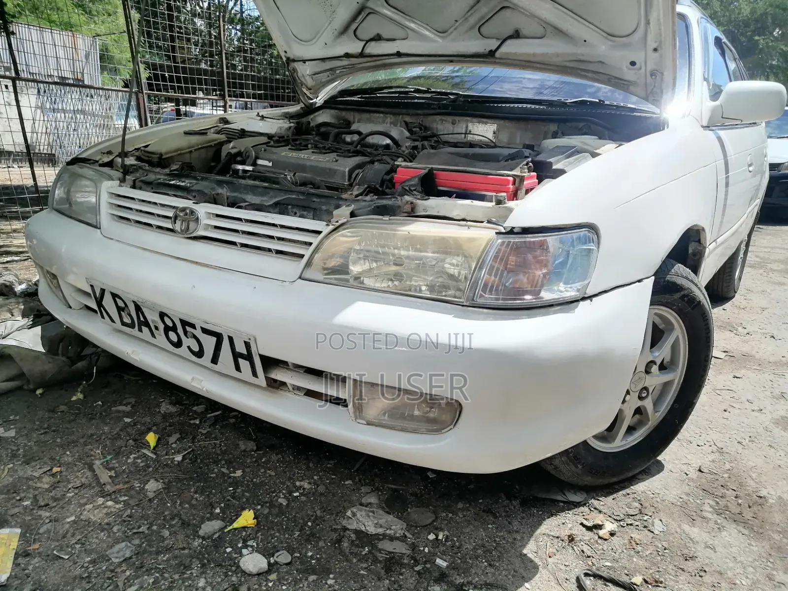 Toyota Corolla 2000 White