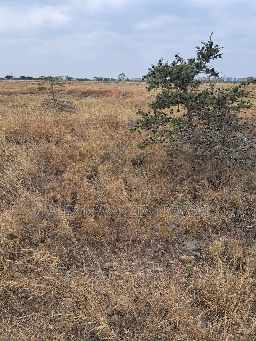 Land for Sale in Syokimau Katani