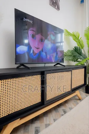 Scorp Media Console - Black Rattan Sliding Doors Tv Stand