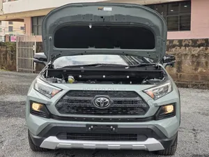 Toyota RAV4 2019
