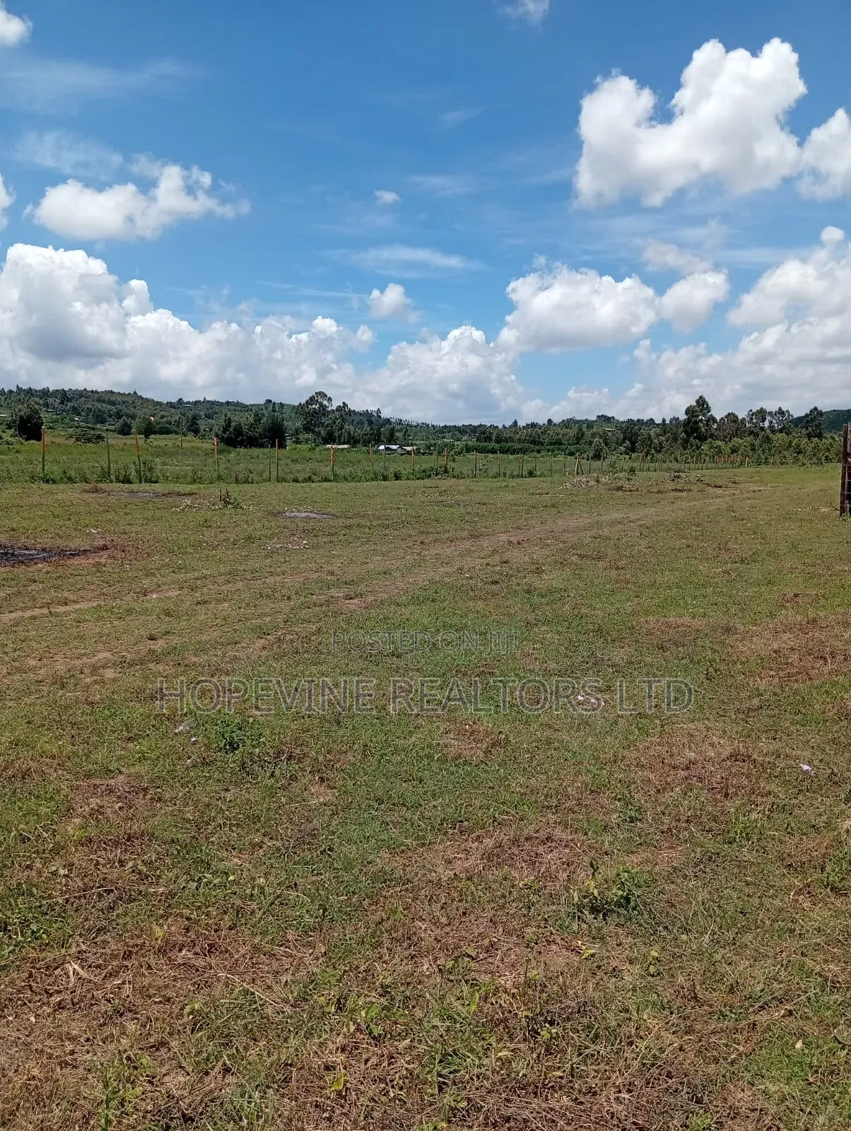 Affordable Plots for Sale in Kikuyu-Thigio