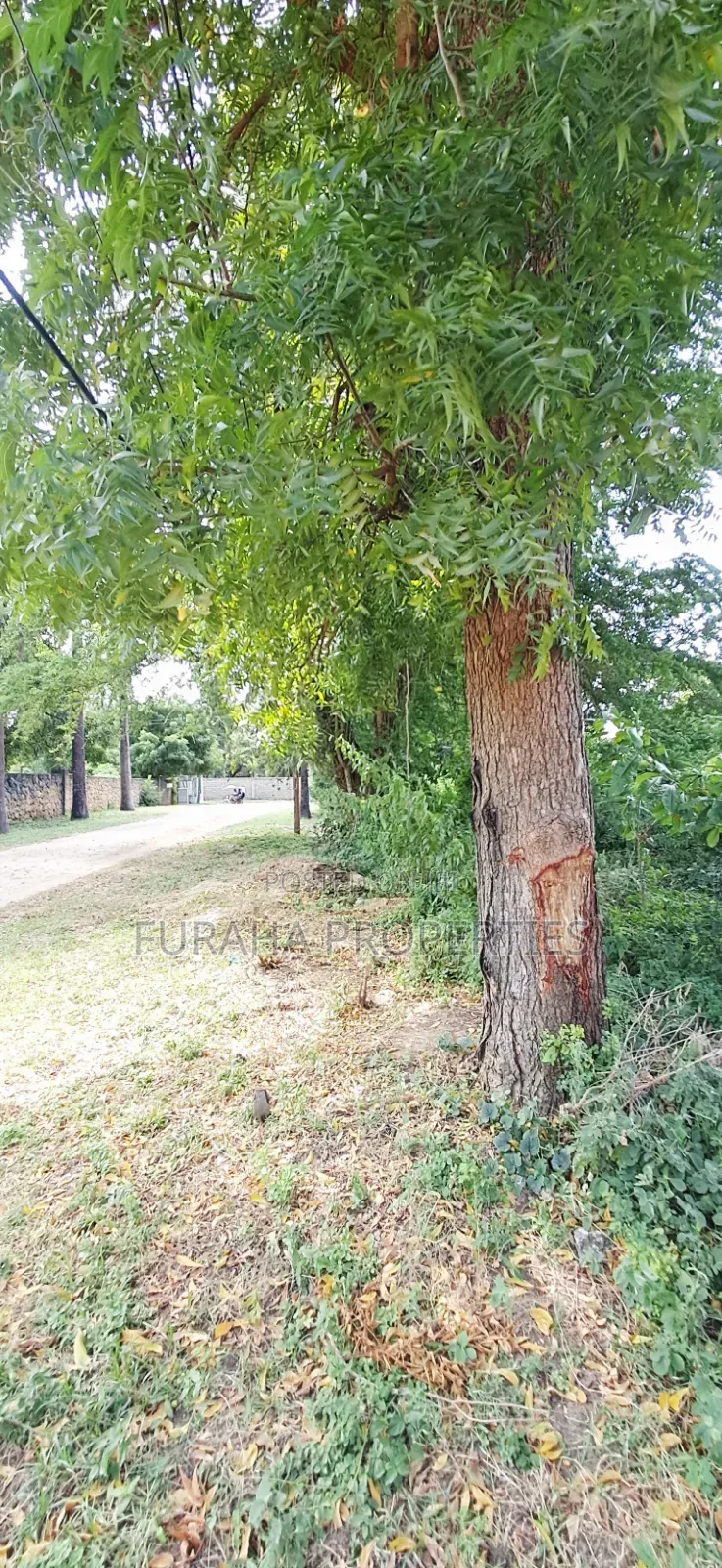 For Sale 1 Acre Plot at the Creek Mtwapa