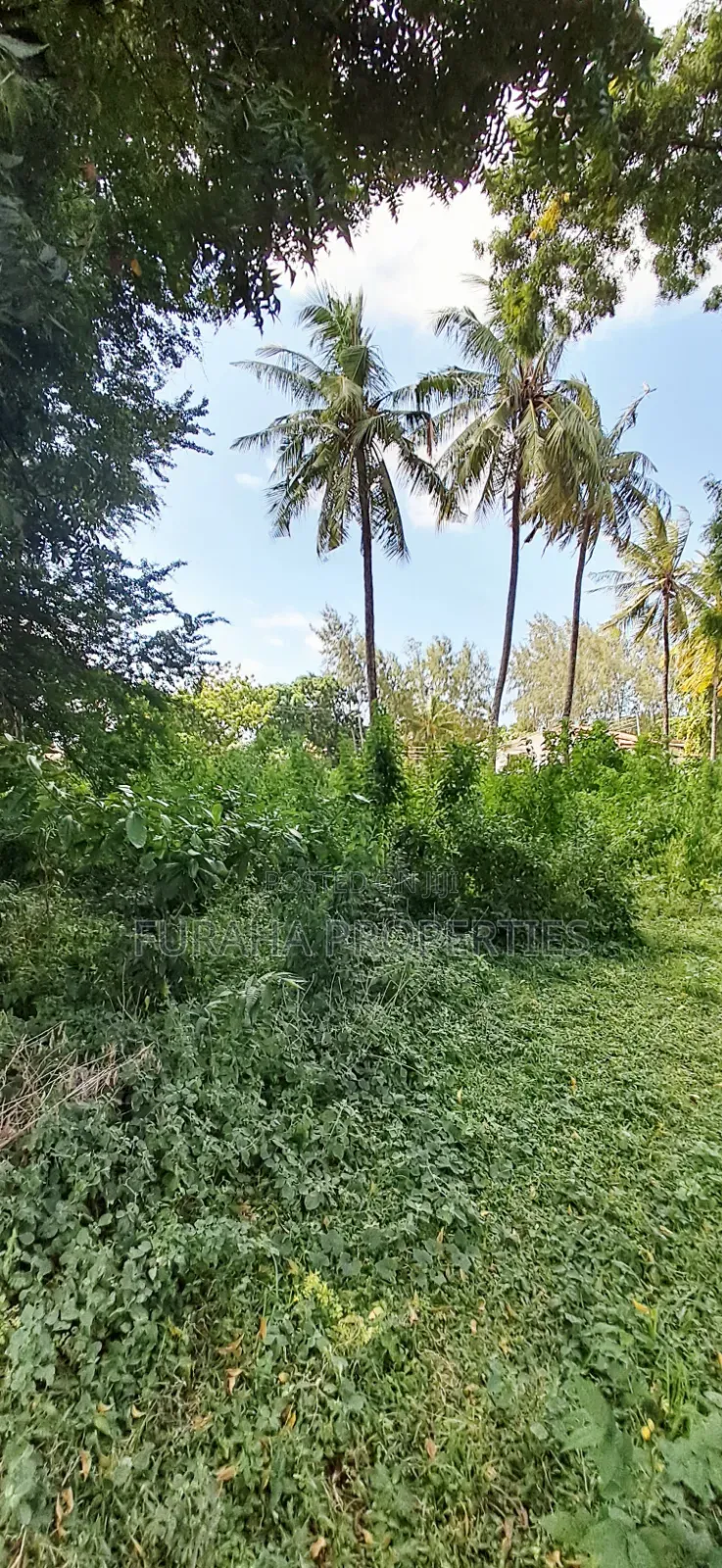 For Sale 1 Acre Plot at the Creek Mtwapa