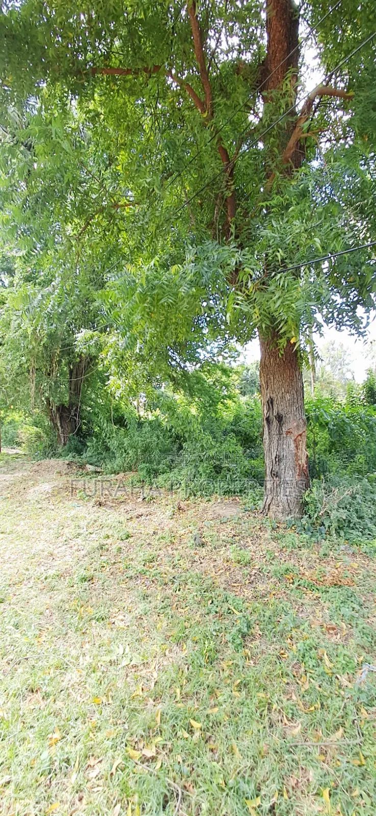 For Sale 1 Acre Plot at the Creek Mtwapa