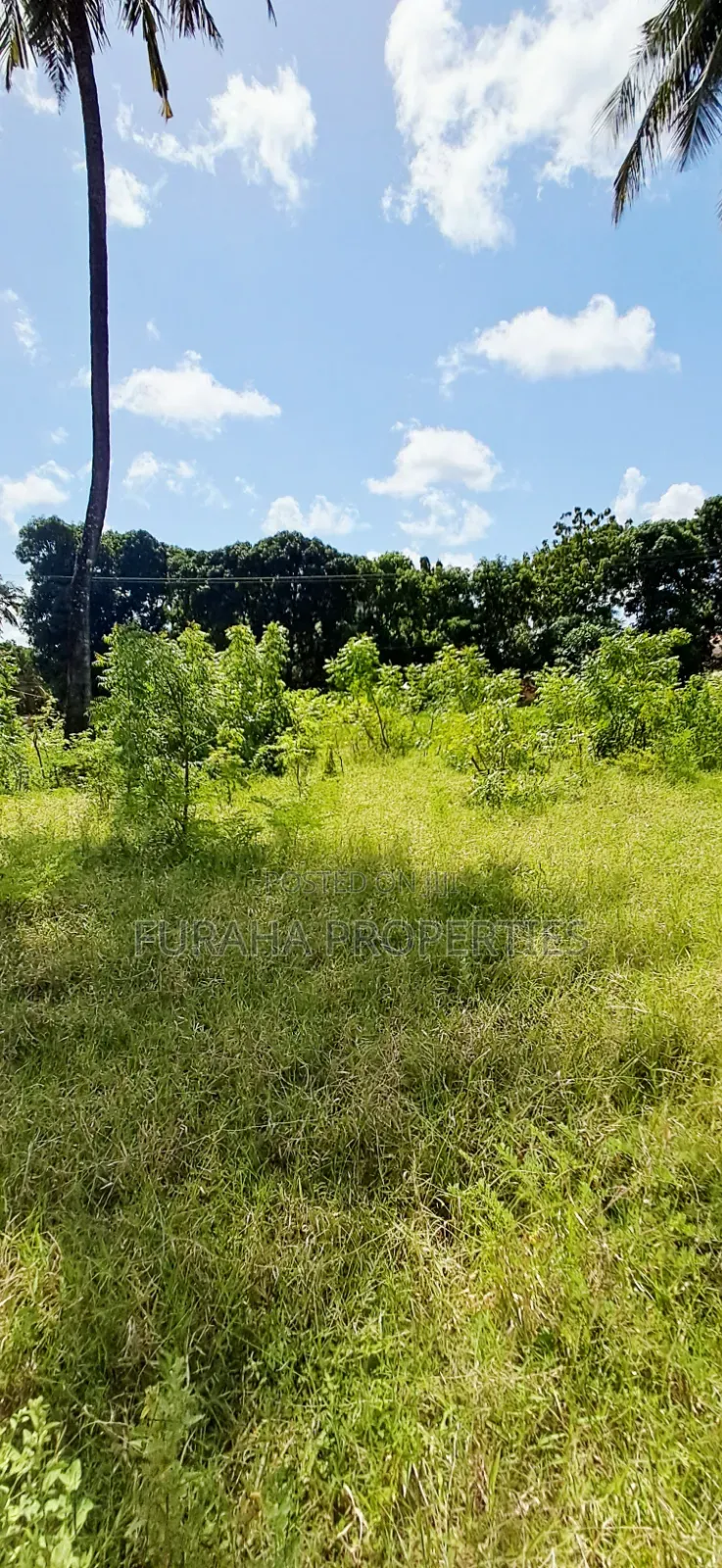 For Sale 1 Acre Plot at the Creek Mtwapa